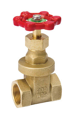 2" GATE VALVE FIPxFIP