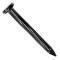 2-1/2" MASONRY NAIL 1#